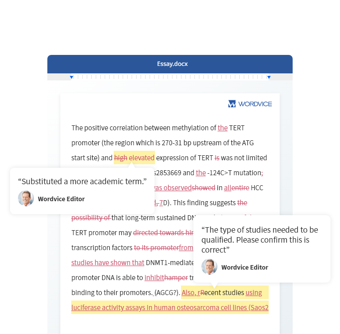 dissertation editing price